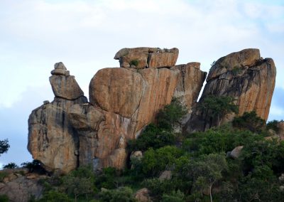 Parco Nazionale Kruger
